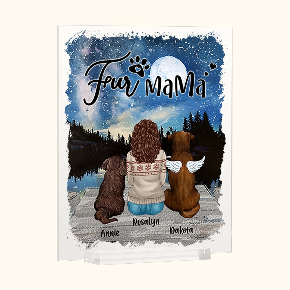 Plaque acrylique personnalisée Enjoy The Starryry Sky Together Home Decoration Birthday Christmas Gift for Pet Owner