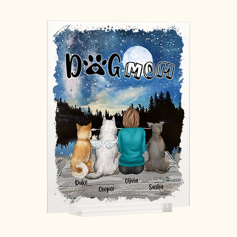 Plaque acrylique personnalisée Enjoy The Starryry Sky Together Home Decoration Birthday Christmas Gift for DogOwner