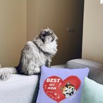 Personalisierte beste Katze Mama jemals Haustier Herz Form Design werfen Kissen Abdeckung Geburtstag Geschenk für Tierliebhaber Besitzer Sofa Dekor