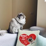 Personalizzato Best Fur Dad Ever Pet Heart Design Throw Pillow Cover Regalo di compleanno per l'amante degli animali domestici Proprietario Sofa Decor