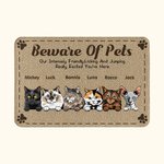 Personalized Beware Of Pets Door Mat Christmas Birthday Gift for Dog Lovers Cat Lovers