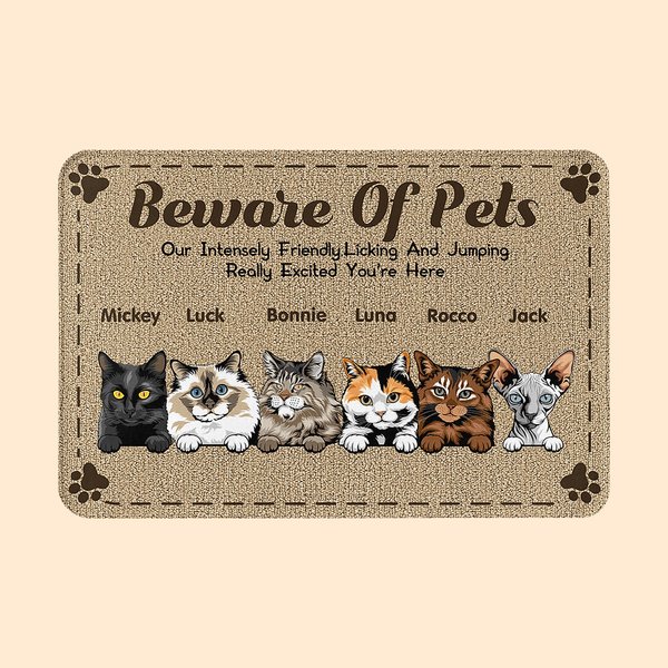 Personalized Beware Of Pets Door Mat Christmas Birthday Gift for Dog Lovers Cat Lovers