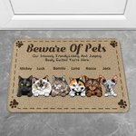 Personalized Beware Of Pets Door Mat Christmas Birthday Gift for Dog Lovers Cat Lovers