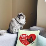 Personlig Bästa kattpappa någonsin husdjur hjärta form design kasta kuddeöverdrag födelsedagspresent för husdjursälskare ägare soffa dekor