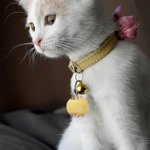 Porte-clés personnalisé en résine pour animaux de compagnie Cadeau d'anniversaire et de Noël pour les propriétaires d'animaux de compagnie