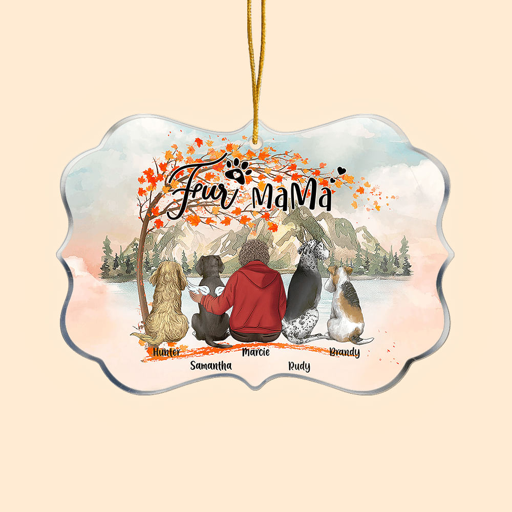 Personnalisé We Are Together Forme irrégulière Ornement suspendu en acrylique Décoration de maison de Noël Cadeau pour les propriétaires d'animaux de