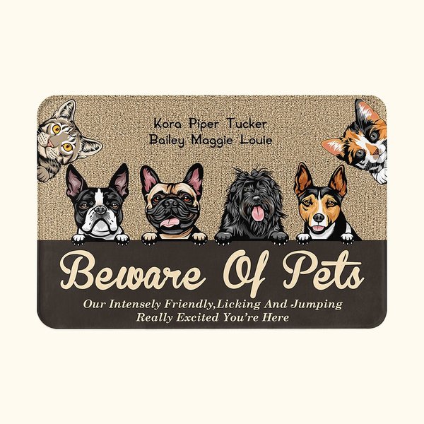 Personalized Beware Of Pet Really Excited You're Here Door Mat Birthday Gift for Dog Cat Lover Home Decoration