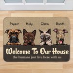 Personalized Welcome To Our House Cute Animal Party Door Mat Birthday Gift for Dog Cat Lover Home Decoration