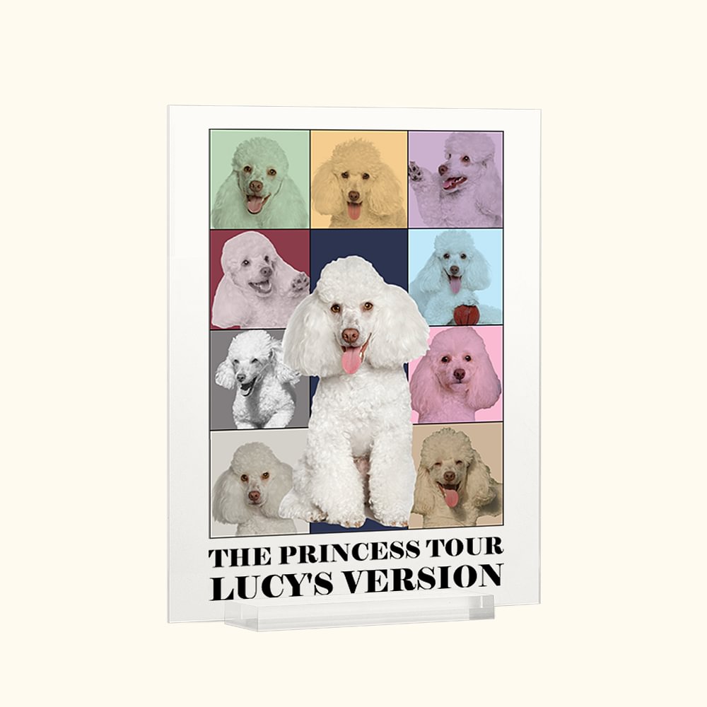 Eras Tour Poster Photos Plaque Acrylique Personnalisée Décoration de Bureau Noël Anniversaire Cadeau pour Amis Famille Amoureux des Animaux