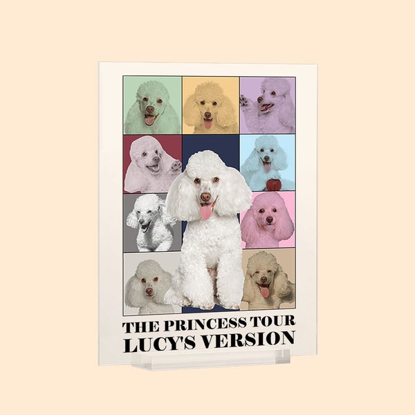 Gepersonaliseerde Eras Tour Poster Foto's Acryl Plaquette Desk Decoratie Kerst Verjaardag Gift voor Vrienden Familie Pet Lovers