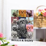 Gepersonaliseerde Eras Tour Poster Foto's Acryl Plaquette Desk Decoratie Kerst Verjaardag Gift voor Vrienden Familie Pet Lovers