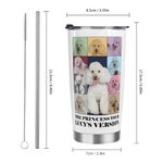 Personalized Eras Tour Poster Style 20oz Tumbler with Lid and Straw Cleaning Brush Birthday Christmas Gift for Friend Pet Lover
