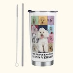 Personalized Eras Tour Poster Style 20oz Tumbler with Lid and Straw Cleaning Brush Birthday Christmas Gift for Friend Pet Lover