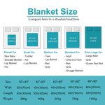 Personalized Family Birth Flowers Love Grows Here Fleece Blanket Gift for Mom Grandma