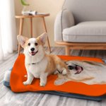 Couverture Douce Personnalisée avec Nom et Photo d'Animal de Compagnie Cadeau Anniversaire Noël pour Chien et Chat