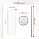 Personalisierte Big Zodiac Energie Horoskop 20oz Skinny Becher mit Deckel und Strohhalm Reinigungsbürste Geburtstag Weihnachten Geschenk für Sternzeic