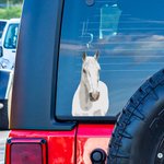 Personalisierte Haustier Aufkleber Lustig Spähen und Portrait Stil Abziehbild Wetterfest Auto LKW Fenster Deko für Tierliebhaber