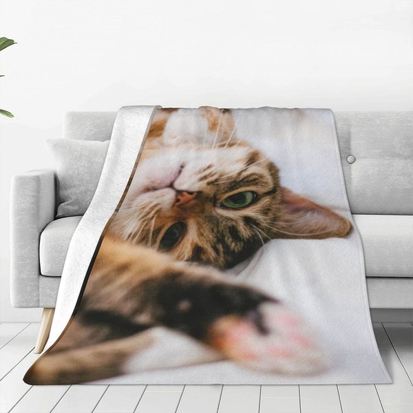 Personligt husdjur foto porträtt filt foto Keepsake heminredning födelsedag jul minnesgåva för familj vän husdjur älskare