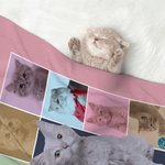 Personalisierte Eras Tour Style 10 Haustier Fotos Collage Decke mit Namen Geburtstag Weihnachtsgeschenk für Hund Welpe Katze