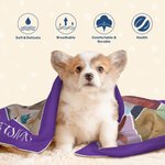 Personalisierte Eras Tour Style 10 Haustier Fotos Collage Decke mit Namen Geburtstag Weihnachtsgeschenk für Hund Welpe Katze