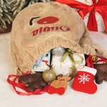 Personalized Reindeer Large Velvet Glitter Drawstring Bag with Little Bells and Name Christmas Gift for Kids