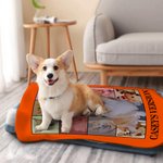 Personalisierte Eras Tour Style 10 Haustier Fotos Collage Decke mit Namen Geburtstag Weihnachtsgeschenk für Hund Welpe Katze