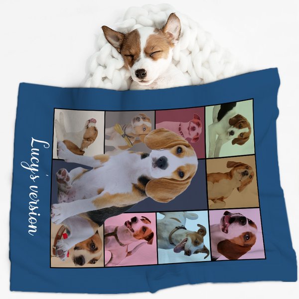 Eras Tour Style 10 Pet Photos Collage Blanket with Name