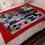 Personalisierte Eras Tour Style 10 Haustier Fotos Collage Decke mit Namen Geburtstag Weihnachtsgeschenk für Hund Welpe Katze