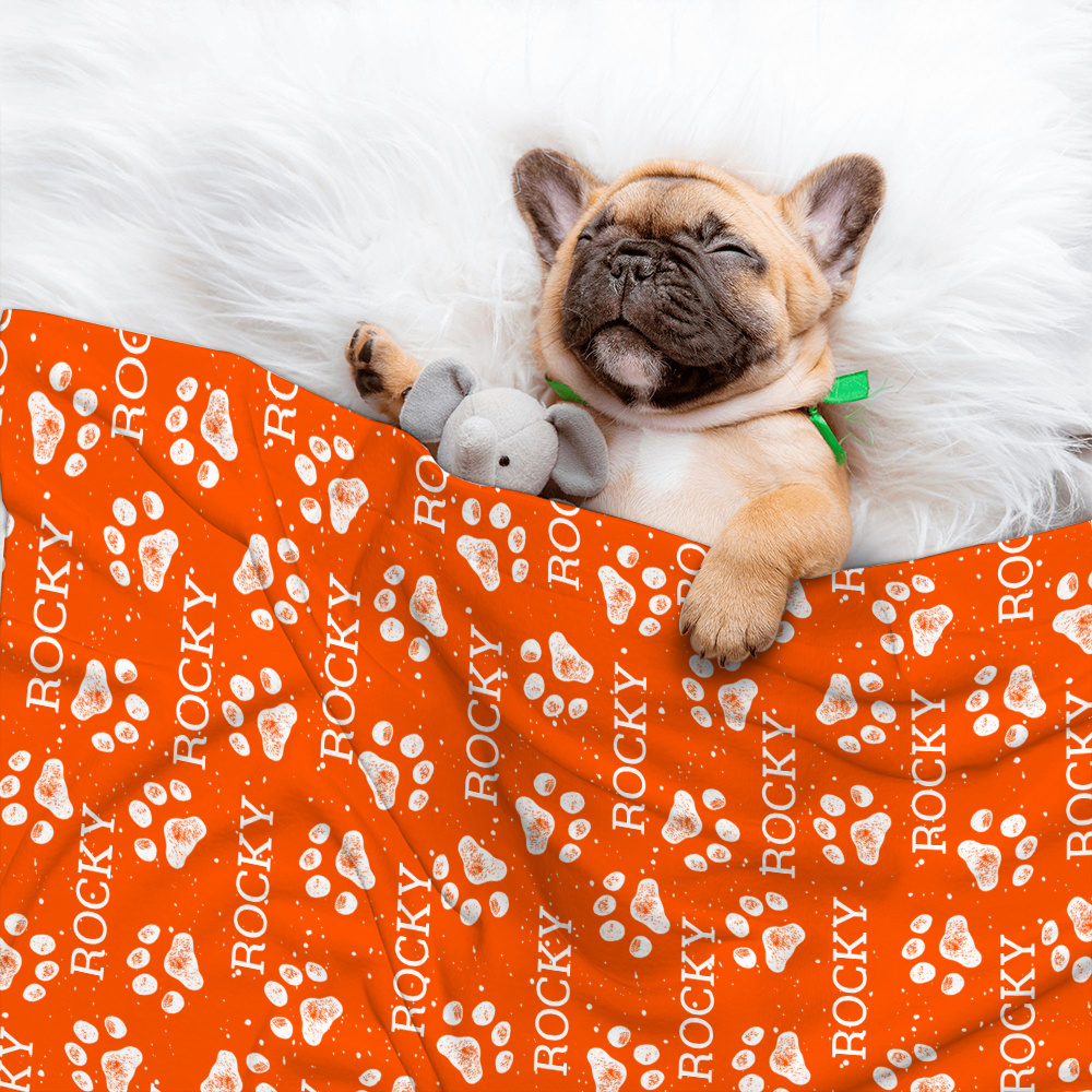 Couverture personnalisée avec nom, anniversaire et cadeau de Noël pour chat, chien et animal de compagnie.
