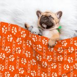 Personalisierte Niedliche Weiche Haustierdecke mit Pfotenabdruck und Namen Geburtstag Weihnachten Geschenk für Katze- und Hundbesitzer Tierliebhaber