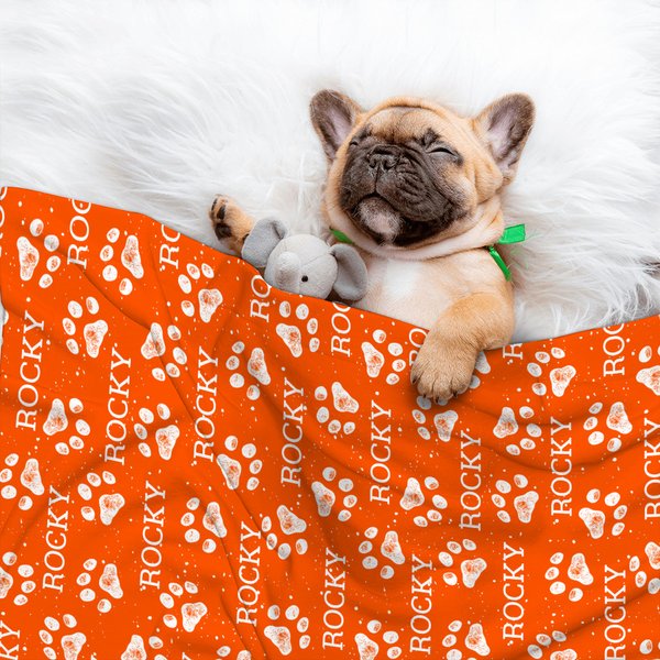 Personalisierte Niedliche Weiche Haustierdecke mit Pfotenabdruck und Namen Geburtstag Weihnachten Geschenk für Katze- und Hundbesitzer Tierliebhaber