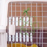 Personalizzato Pet Paw Print Wire Words Handmade Wall Art Decoration Pet Memorial Sign Christmas Birthday Gift for Pet Lover (Regalo di Natale per chi