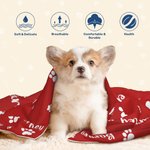 Coperta personalizzata a punti per animali domestici con nome e motivo Regalo di compleanno, Natale e commemorazione per cani e gatti