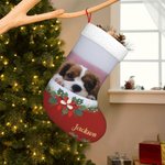 Bas de Noël Personnalisé avec Photo et Nom de l'Animal Ornement Suspendu Décoration de Sapin Cadeau Noël pour Famille Amoureux d'Animal de Compagnie