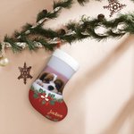 Bas de Noël Personnalisé avec Photo et Nom de l'Animal Ornement Suspendu Décoration de Sapin Cadeau Noël pour Famille Amoureux d'Animal de Compagnie