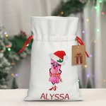 Henkilökohtainen Cookie poika tyttö lahja laukku nimi Canvas kiristysnauha laukku joululahja kääri kanssa roikkuu Tag Holiday Party lahja perheelle Co