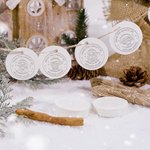 Personalised Christmas Santa Claus Reindeer Design Book Embosser Hand Held Embosser Embossing Stamp with Name Christmas Gift for Book Lovers Family