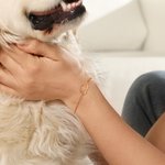 Bracelet Personnalisé avec Silhouette Oreilles de Chien et Nom Cadeau pour Maman Amoureux d'Animaux de Compagnie