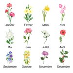 Portefeuille en Cuir avec Porte-Monnaie Personnalisé avec Fleur de Naissance et Nom Cadeau d'Anniversaire Noël pour Femme Fille