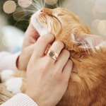 Bague Personnalisée avec Image de l'Animal et Texte Gravé Bijoux pour Perte d'Animal de Compagnie Cadeau Anniversaire pour Amoureux des Animaux