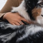 Bague Personnalisée avec Image de l'Animal et Texte Gravé Bijoux pour Perte d'Animal de Compagnie Cadeau Anniversaire pour Amoureux des Animaux