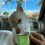 Personalized Ceramic Pup Cup Puppuccino Mug Pet Dog Gift 2.4oz 70ml