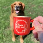 Personalized Ceramic Pup Cup Puppuccino Mug Pet Dog Gift 2.4oz 70ml