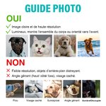 Couverture en Flanelle Personnalisée avec Photo et Nom Cadeau d'Anniversaire Saint-Valentin pour Amoureux des Animaux de Compagnie