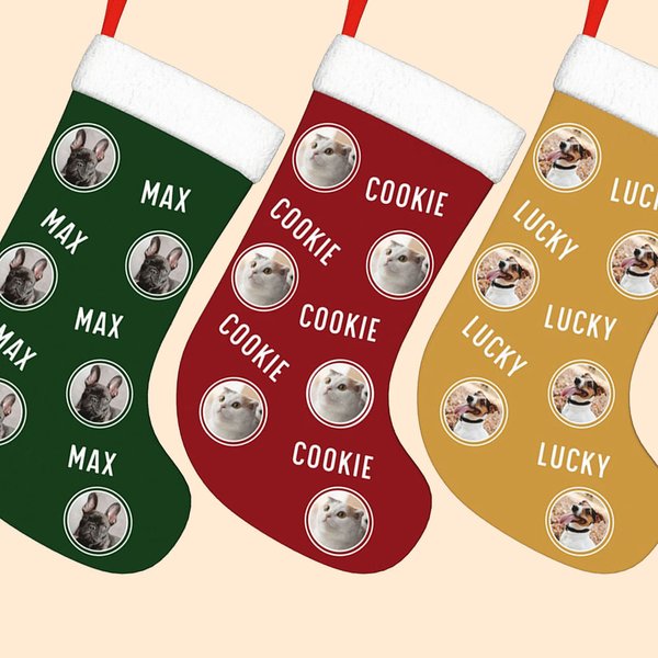 Lovely Pet Round Photo Christmas Stocking with Name