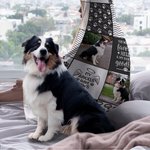 Manta con capucha personalizada para mascota perro gato collage de fotos con nombre Regalo conmemorativo para amante de las mascotas