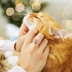 Bague d'amour personnalisée avec texte gravé Cadeau d'anniversaire pour l'amoureux des animaux de compagnie