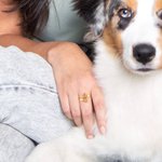 Bague d'amour personnalisée avec texte gravé Cadeau d'anniversaire pour l'amoureux des animaux de compagnie