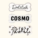 Henkilökohtainen Bone muotoinen roikkuu Crate merkki koiran nimi lahja koiran ystäville