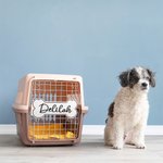 Henkilökohtainen Bone muotoinen roikkuu Crate merkki koiran nimi lahja koiran ystäville